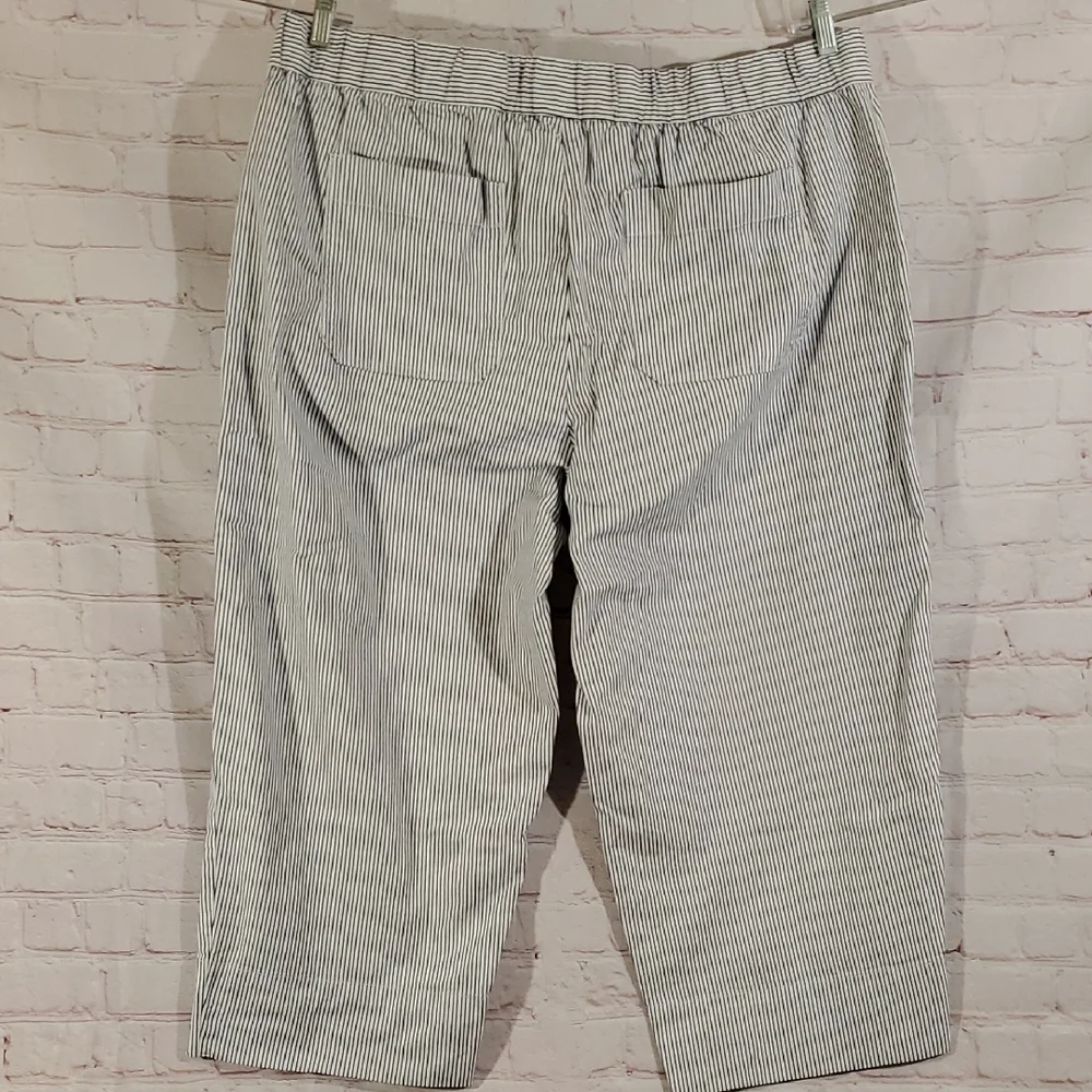 Talbots Blue And White Striped Cropped Pants Pockets Size 2X - Picture 5 of 8
